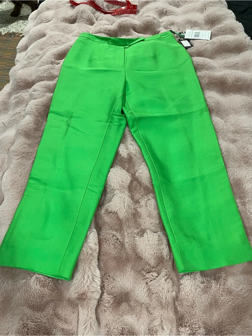 NWT* GRACE Silk Dress Pants*Fully Lined *Zipper*Reef Green Tapered Leg*Size 4